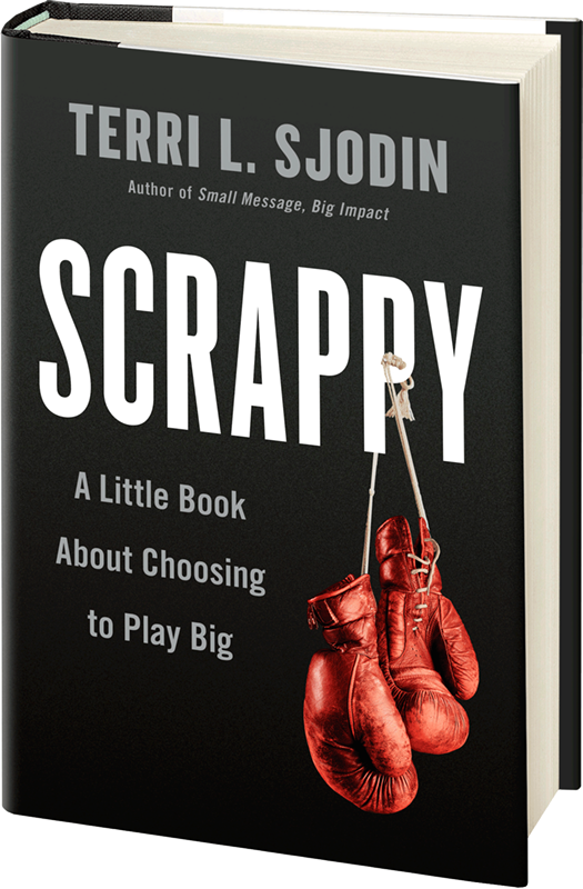 Scrappy: A Little Book About Choosing to Play Big